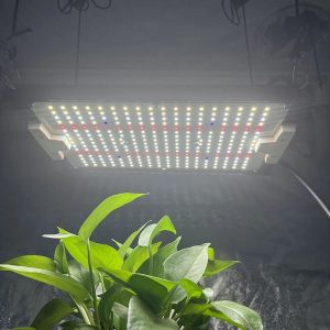 LED Фитосветильник для растений Kingbrite Quantum Board 120w LM281b+Epistar 660 nm UV IR +Meanwell driver